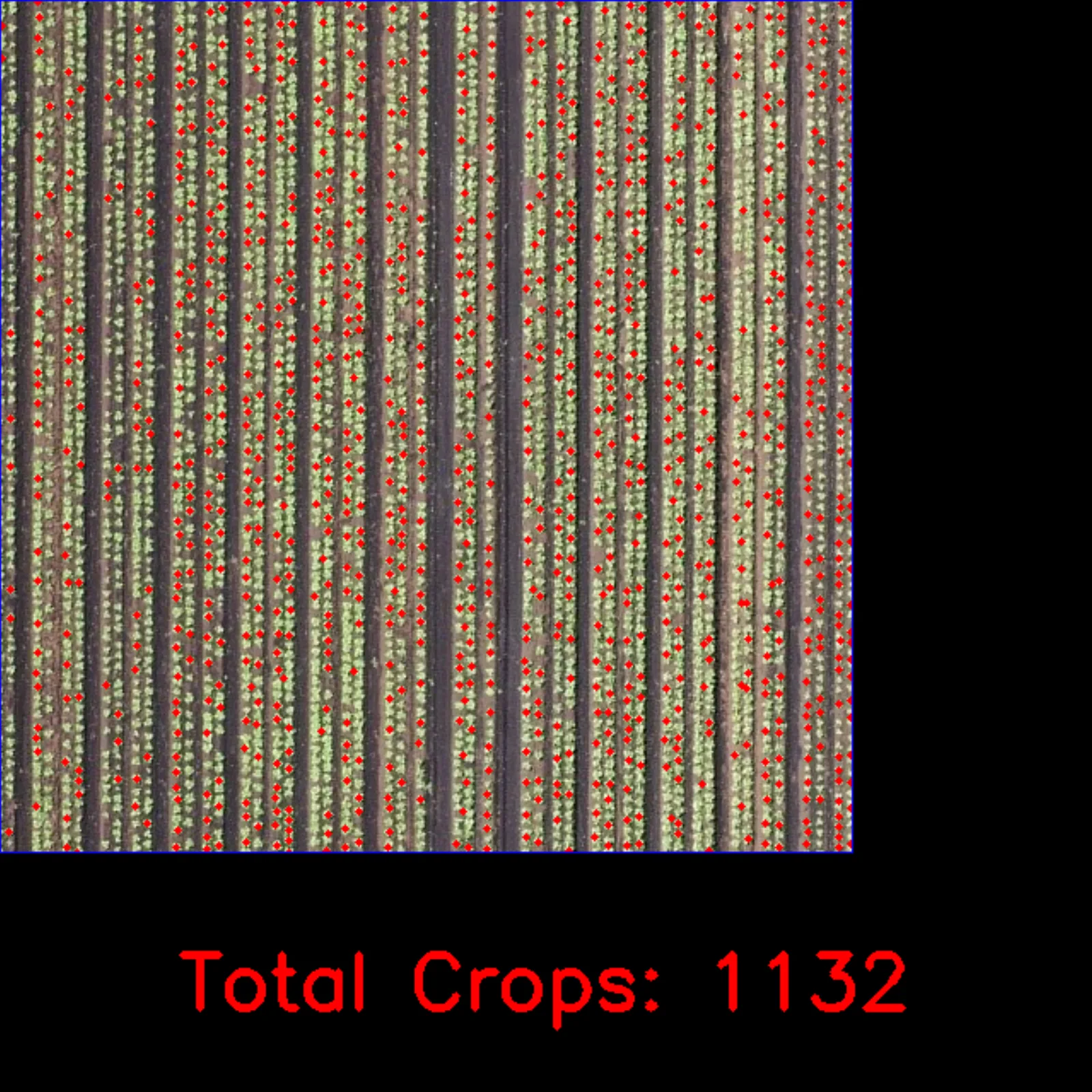 Companion detection analysis frame highlighting gaps and error cases in the automated count