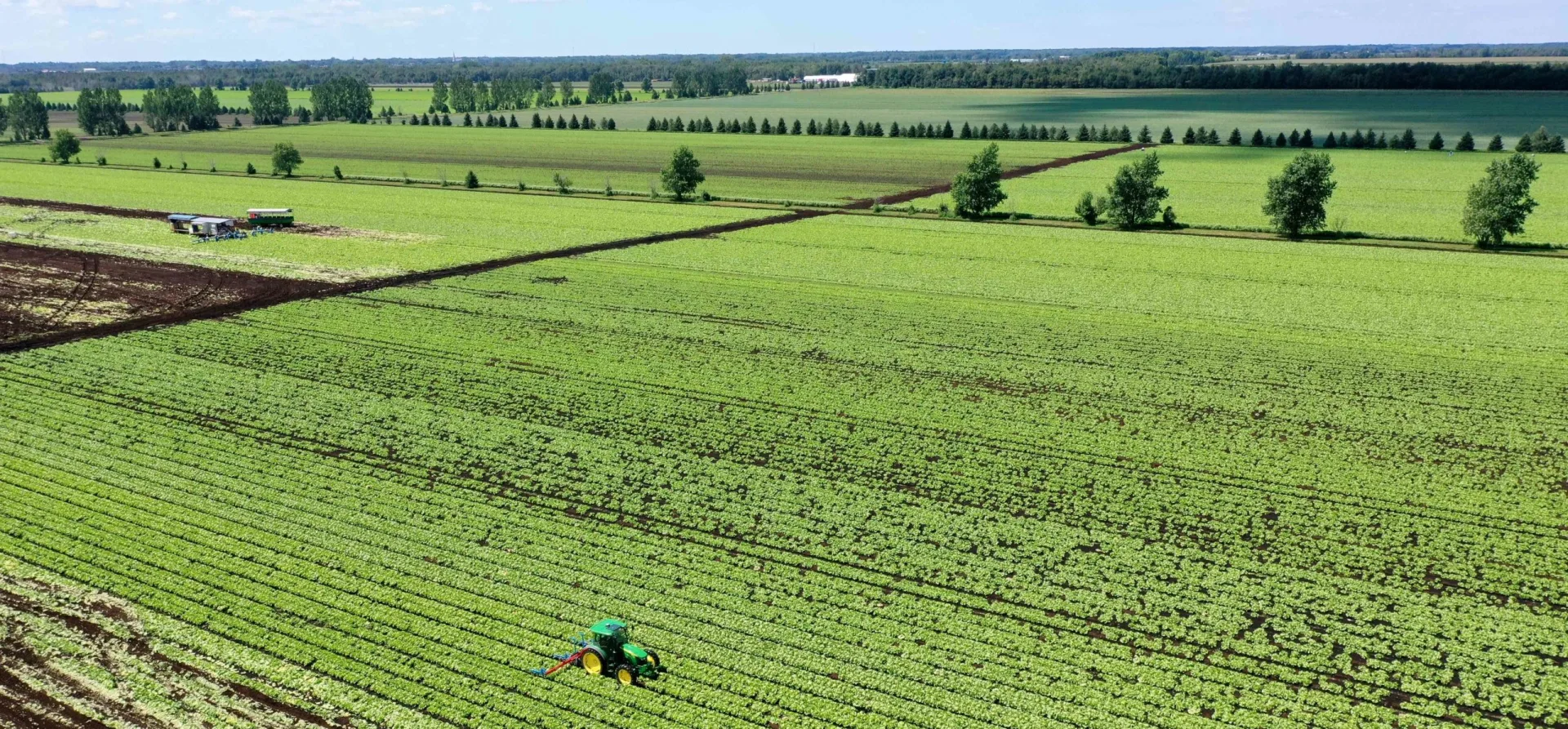 High-resolution aerial orthomosaic of a field and greenhouse area from the Delftland project
