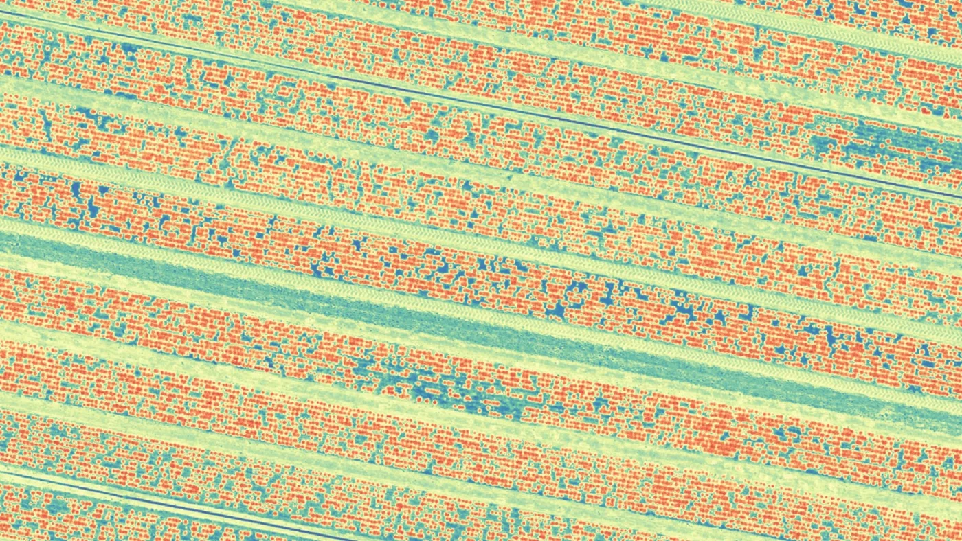Multispectral field analysis frame, band composite