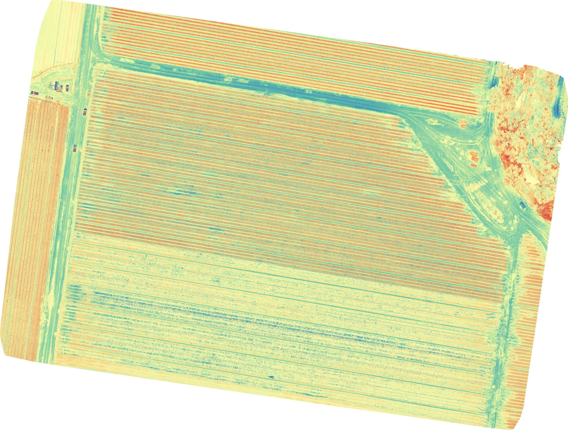 Full-field NDVI orthophoto